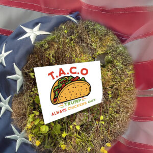 Let's Go Taco Yard Sign - Trump Chickens Out