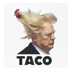 TACO Trump Always Chickens Out Car Magnets