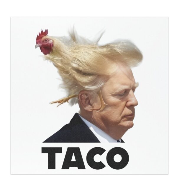 TACO Trump Always Chickens Out Car Magnets