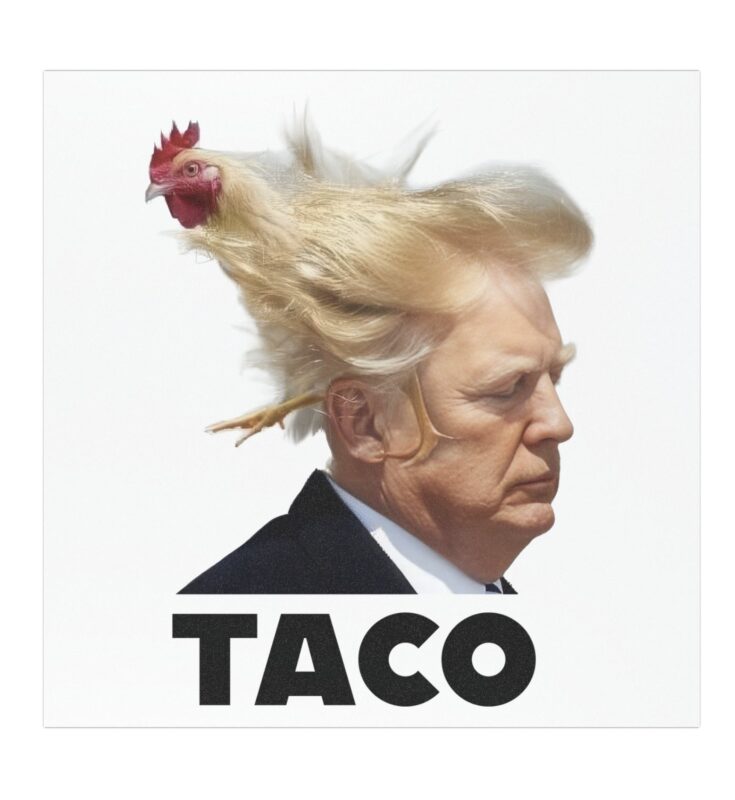 TACO Trump Always Chickens Out Car Magnets