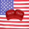 Taco Trump Always Chickens Out Trucker Snapback Hat